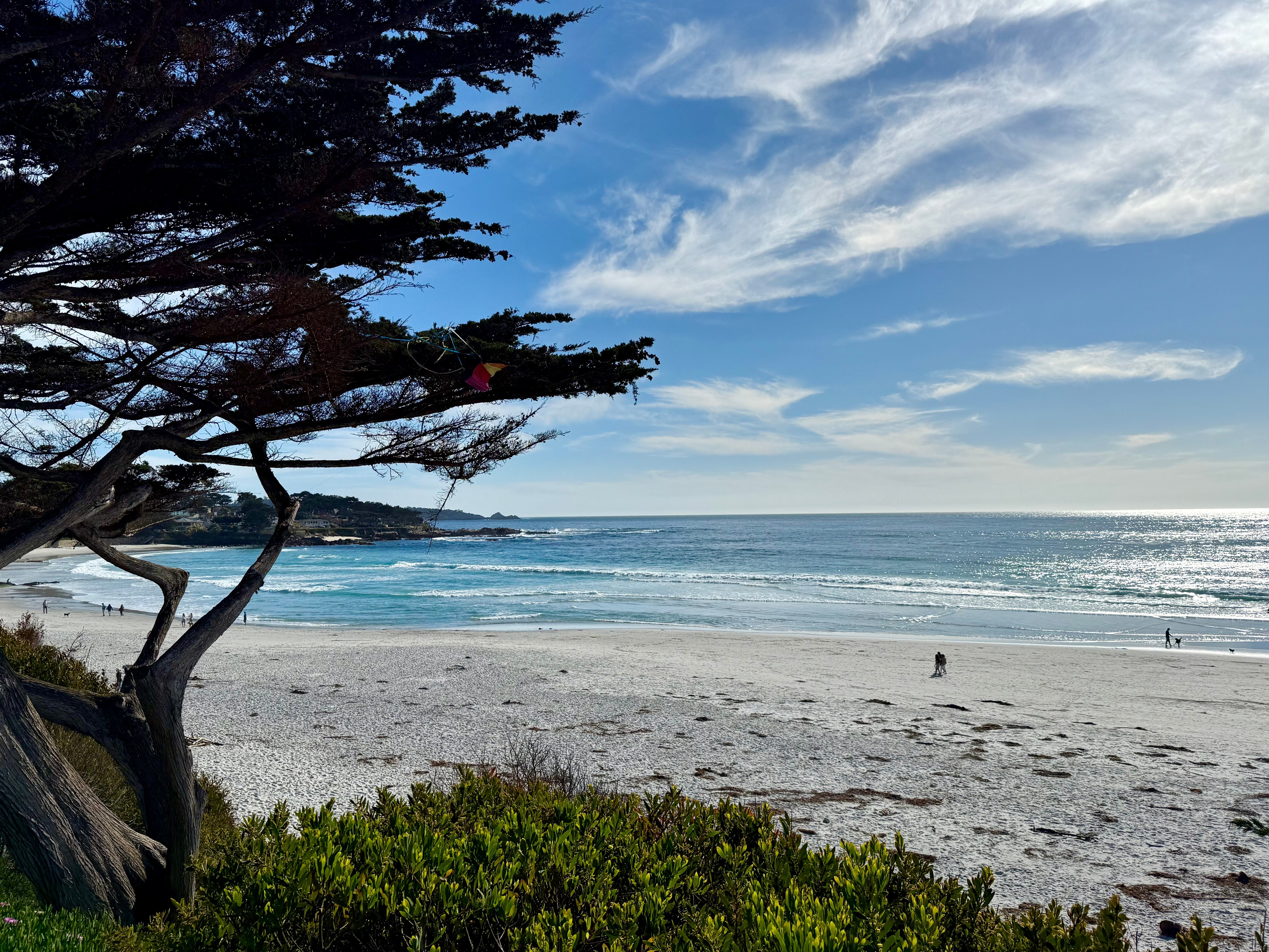 Carmel By the Sea  is A Gem of a Wellness Rebuild plus World Class Golf & Wines