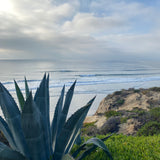 Solana Beach - California